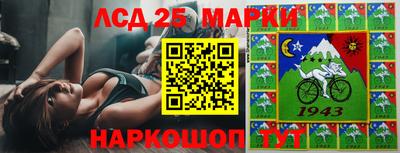 гашик Новокубанск