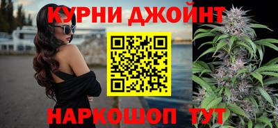 гашик Новокубанск