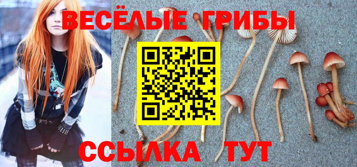 Псилоцибиновые грибы прущие грибы Георгиевск