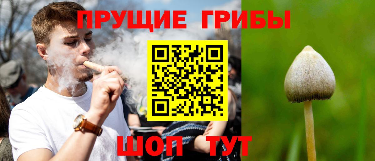 Георгиевск  Галлюциногенные грибы ЛСД  Вход с VPN  Псилоцибиновые грибы мухоморы 